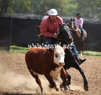 GundagaiGiddyup2013_5D_0907