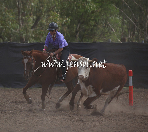 GundagaiGiddyup2013_5D_0950