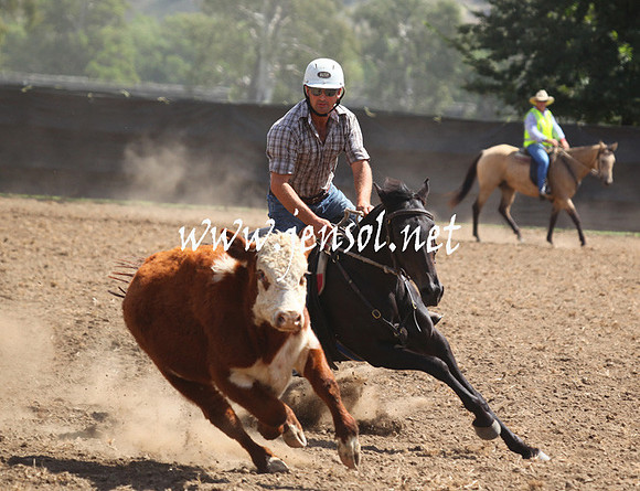 GundagaiGiddyup2013_5D_0914