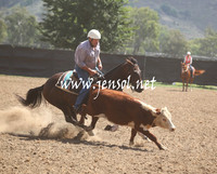 GundagaiGiddyup2013_5D_0919