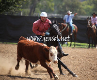 GundagaiGiddyup2013_5D_0908