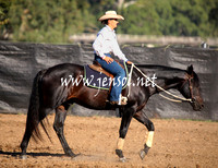 GundagaiGiddyup2013_1D_1000