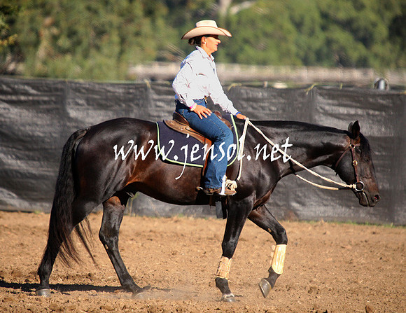 GundagaiGiddyup2013_1D_1000