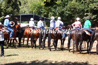 GundagaiGiddyup2013_5D_0241