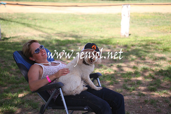 GundagaiGiddyup2013_5D_0704