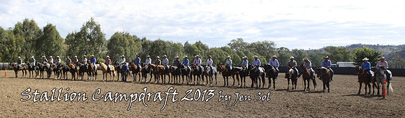 Stallions1
