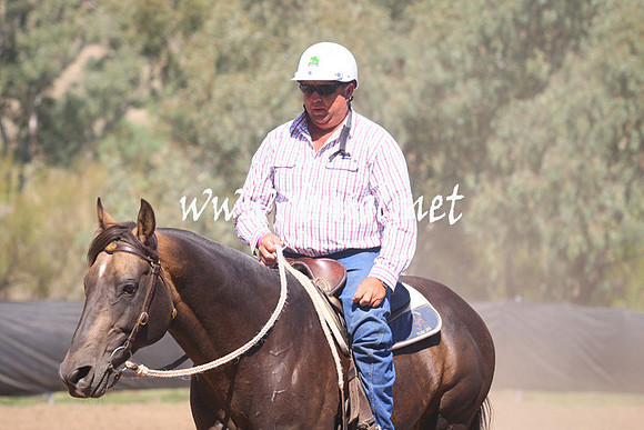 GundagaiGiddyup2013_1D_1747