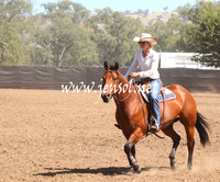 GundagaiGiddyup2013_5D_0070