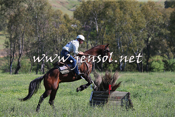 BattleoftheBidgee_0925