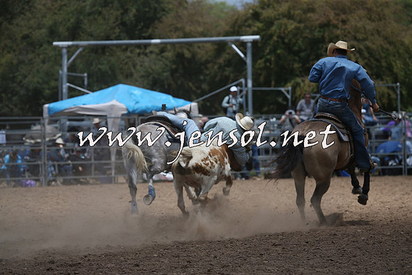 TaralgaRodeo2016_6803