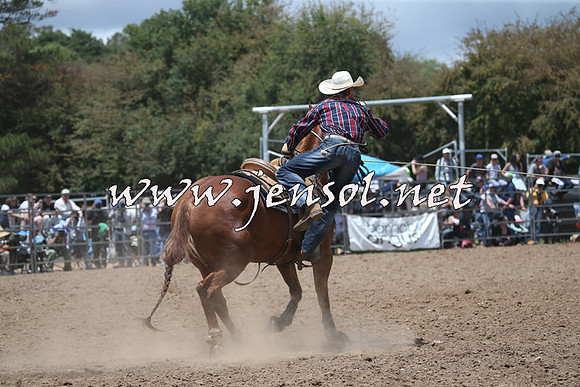 TaralgaRodeo2016_6522