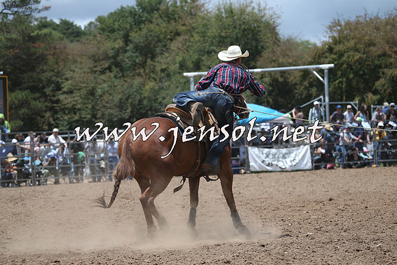 TaralgaRodeo2016_6523
