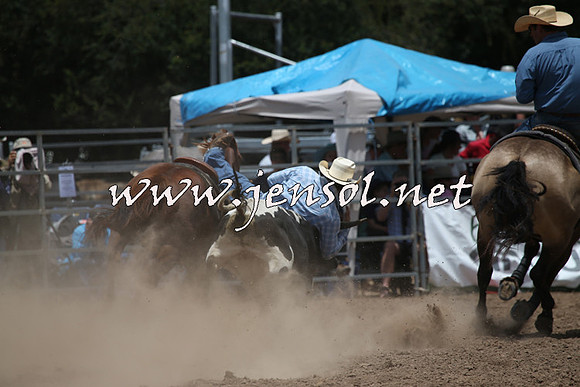 TaralgaRodeo2016_6816
