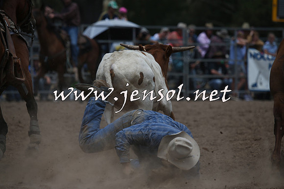 TaralgaRodeo2016_6802