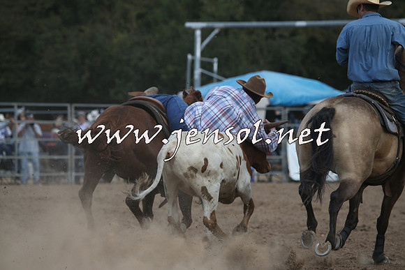 TaralgaRodeo2016_9040