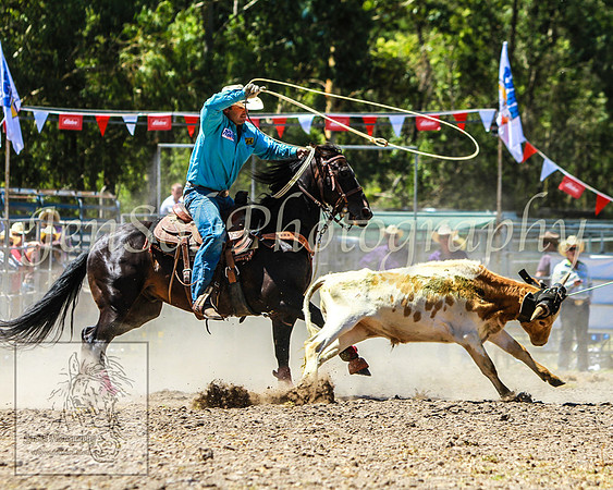 PictonRodeo2013KJS_4128