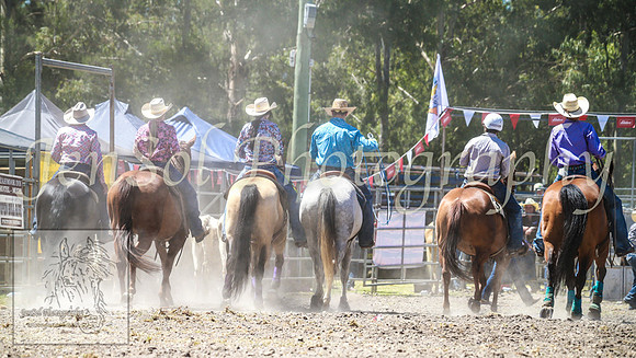 PictonRodeo2013_1214