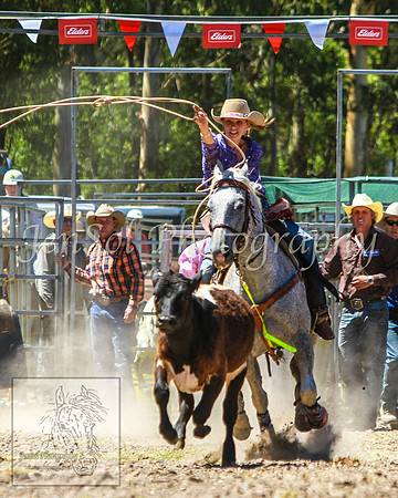 PictonRodeo2013KJS_4145