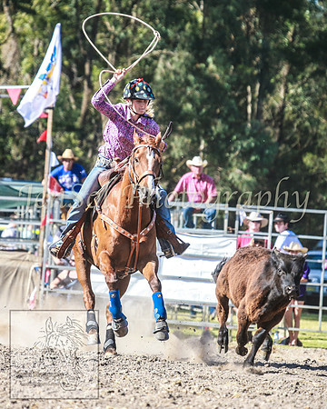 PictonRodeo2013_1924