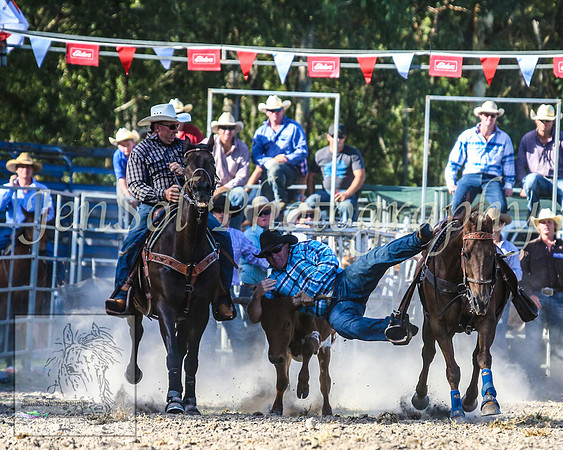 PictonRodeo2013_2098