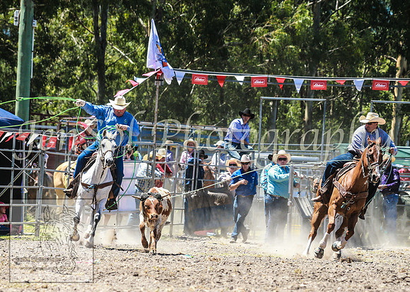 PictonRodeo2013_1145