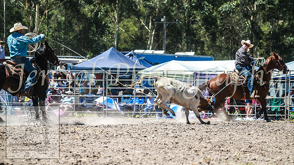 PictonRodeo2013_1197