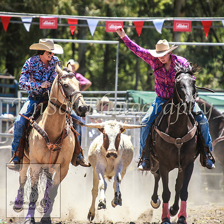 PictonRodeo2013_0596