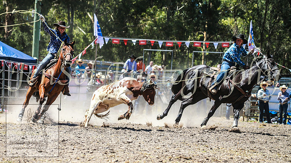 PictonRodeo2013_1167