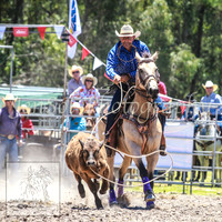 PictonRodeo2013_0452
