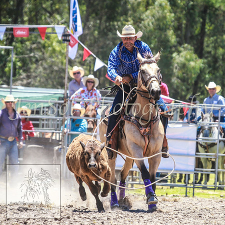 PictonRodeo2013_0452