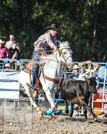 PictonRodeo2013_2156