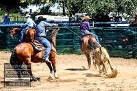 CoomaRodeo2018_0560