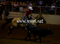 RealDealHorseworld_JenSol_0346