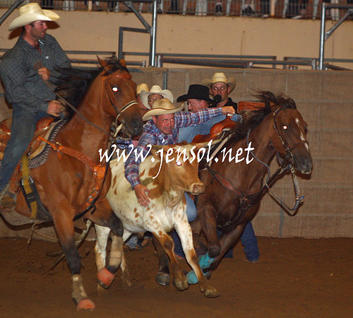 RealDealHorseworld_JenSol_0436