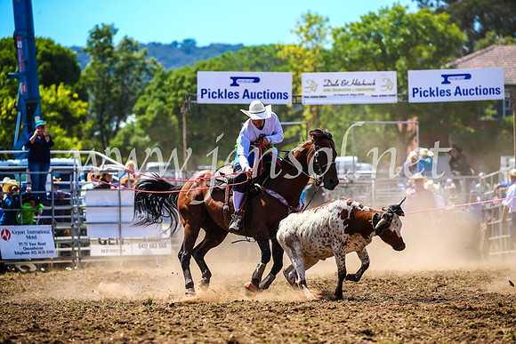 QueanbeyanRodeo2017_1007
