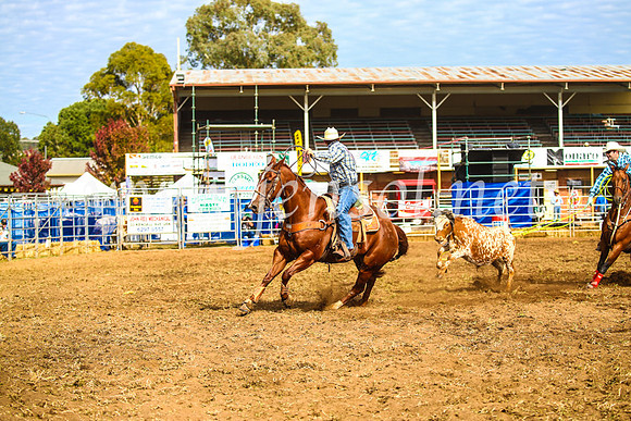 QueanbeyanRodeo2017_0006