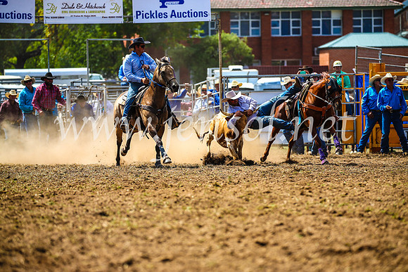 QueanbeyanRodeo2017_1104