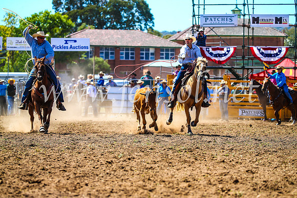 QueanbeyanRodeo2017_0910
