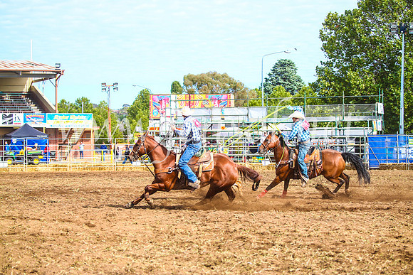 QueanbeyanRodeo2017_0005