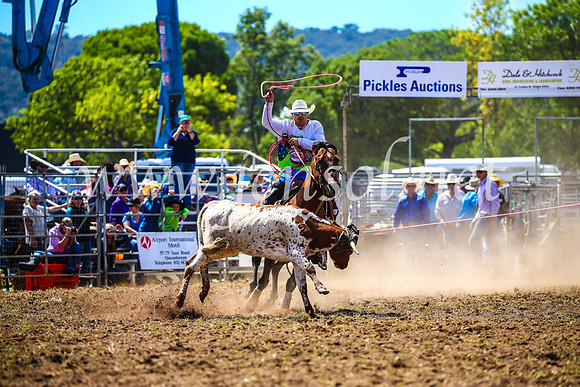 QueanbeyanRodeo2017_1012