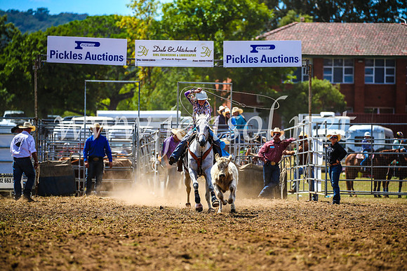 QueanbeyanRodeo2017_1053