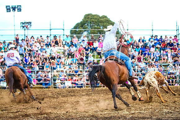 QueanbeyanRodeo2017_3018
