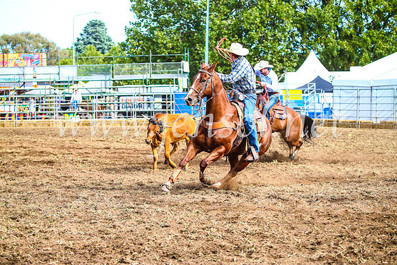 QueanbeyanRodeo2017_0014