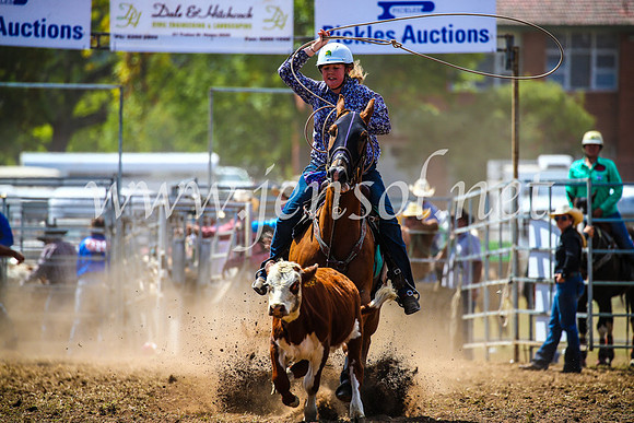 QueanbeyanRodeo2017_1039