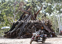 WinterRally2015_0001