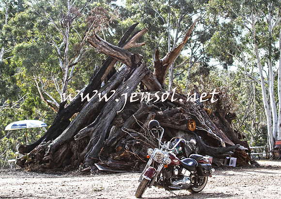 WinterRally2015_0001