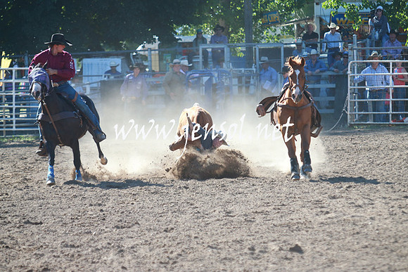 GundagaiRodeo_1206