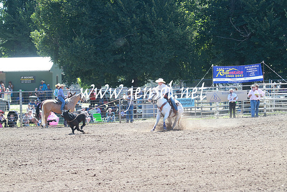 GundagaiRodeo_0696