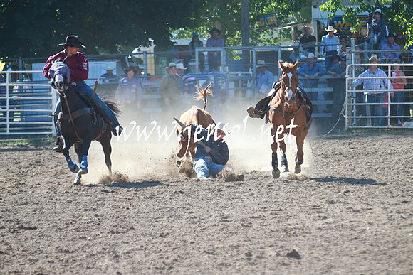 GundagaiRodeo_1204