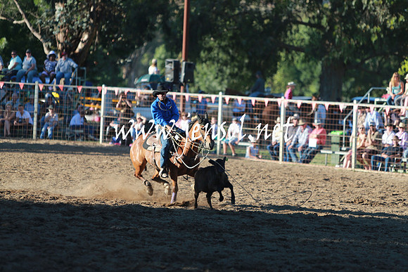 GundagaiRodeo_1535